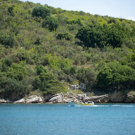 Bee Tree * Agnítsini